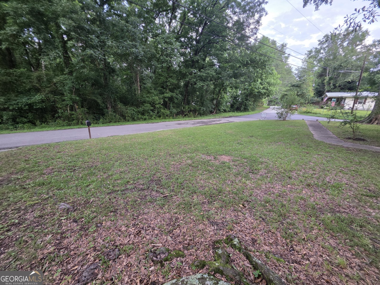 160 Connecticut Ave. Tallapoosa - Photo 19
