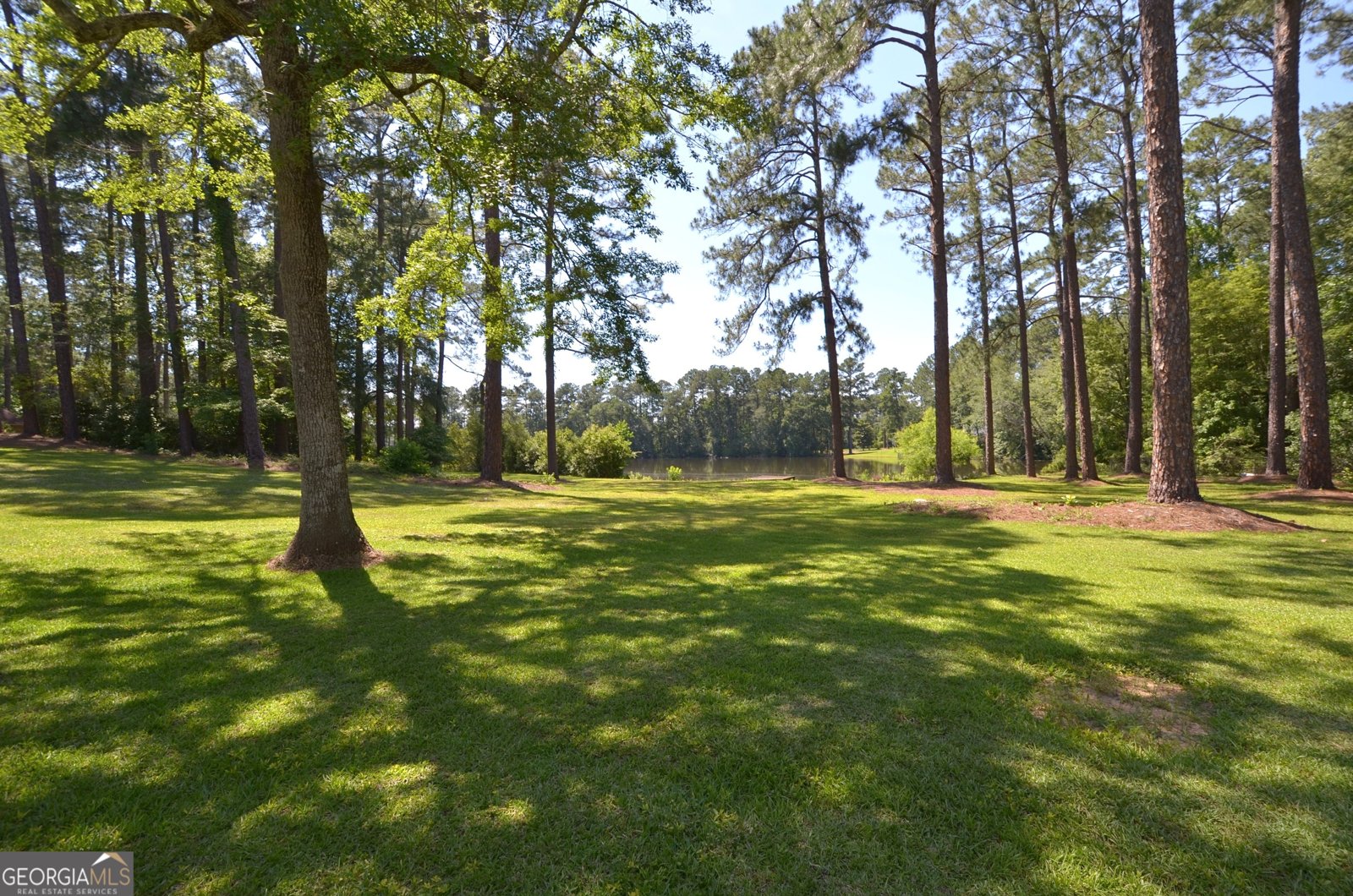 1214 7th Avenue Eastman - Photo 96