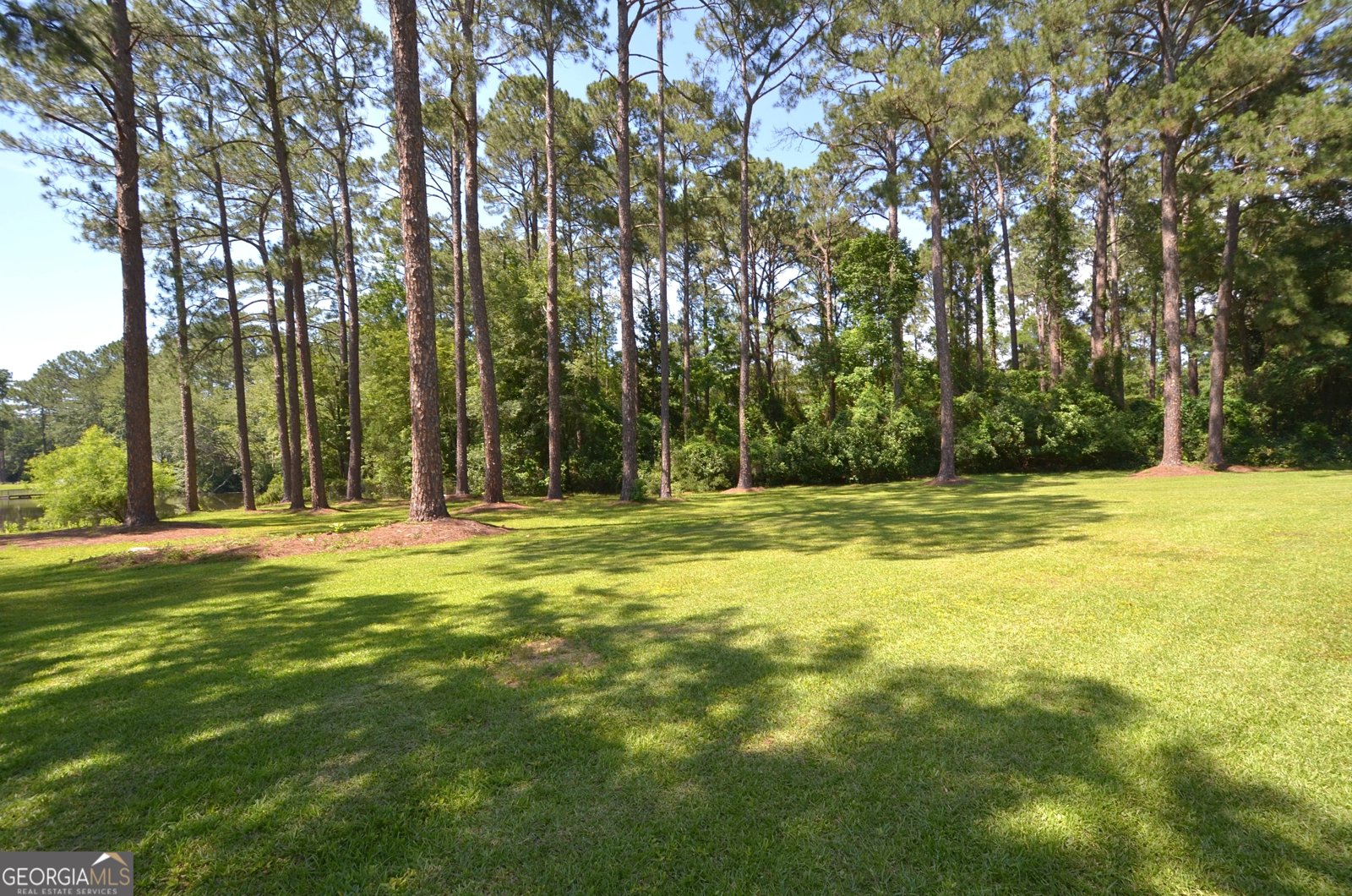 1214 7th Avenue Eastman - Photo 97