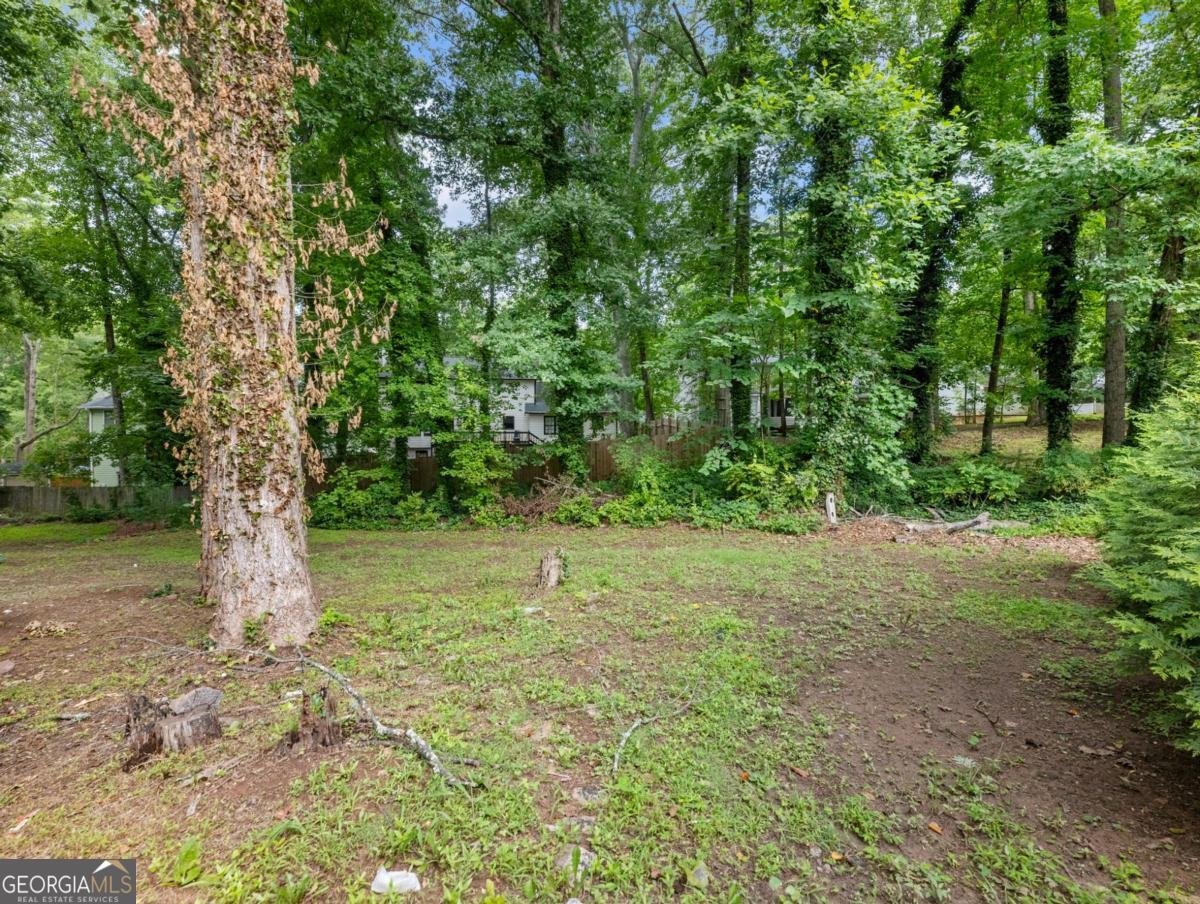 4984 Willow Overlook Stone Mountain - Photo 54