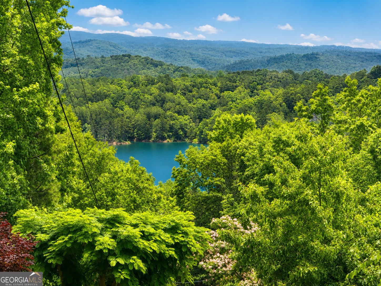181 Cindy Lane Ellijay - Photo 19