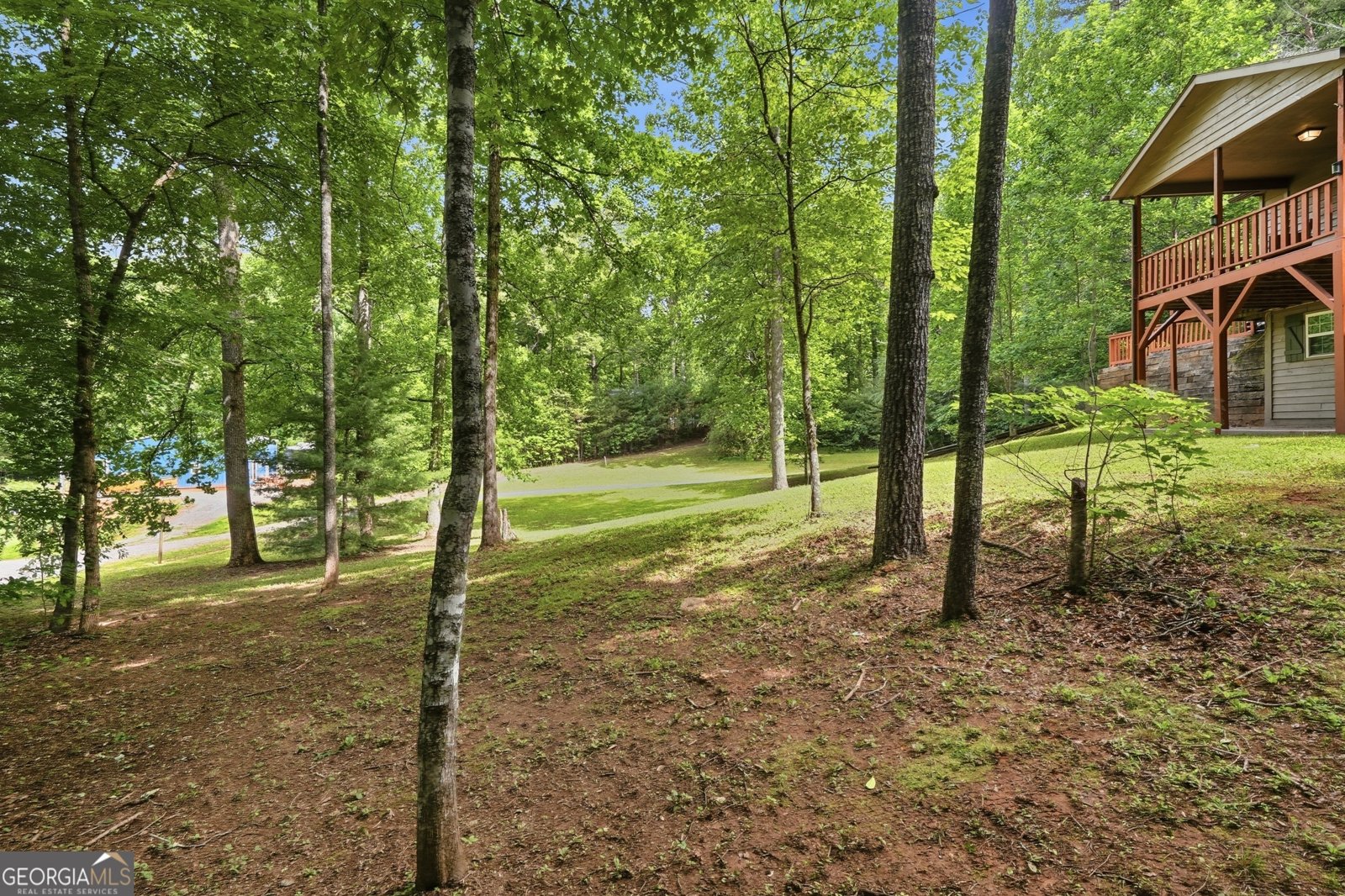 58 Brandys Way Murphy - Photo 6
