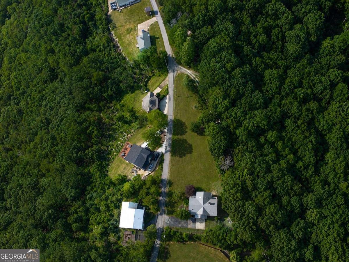 1361 Talona Mountain Road Ellijay - Photo 61