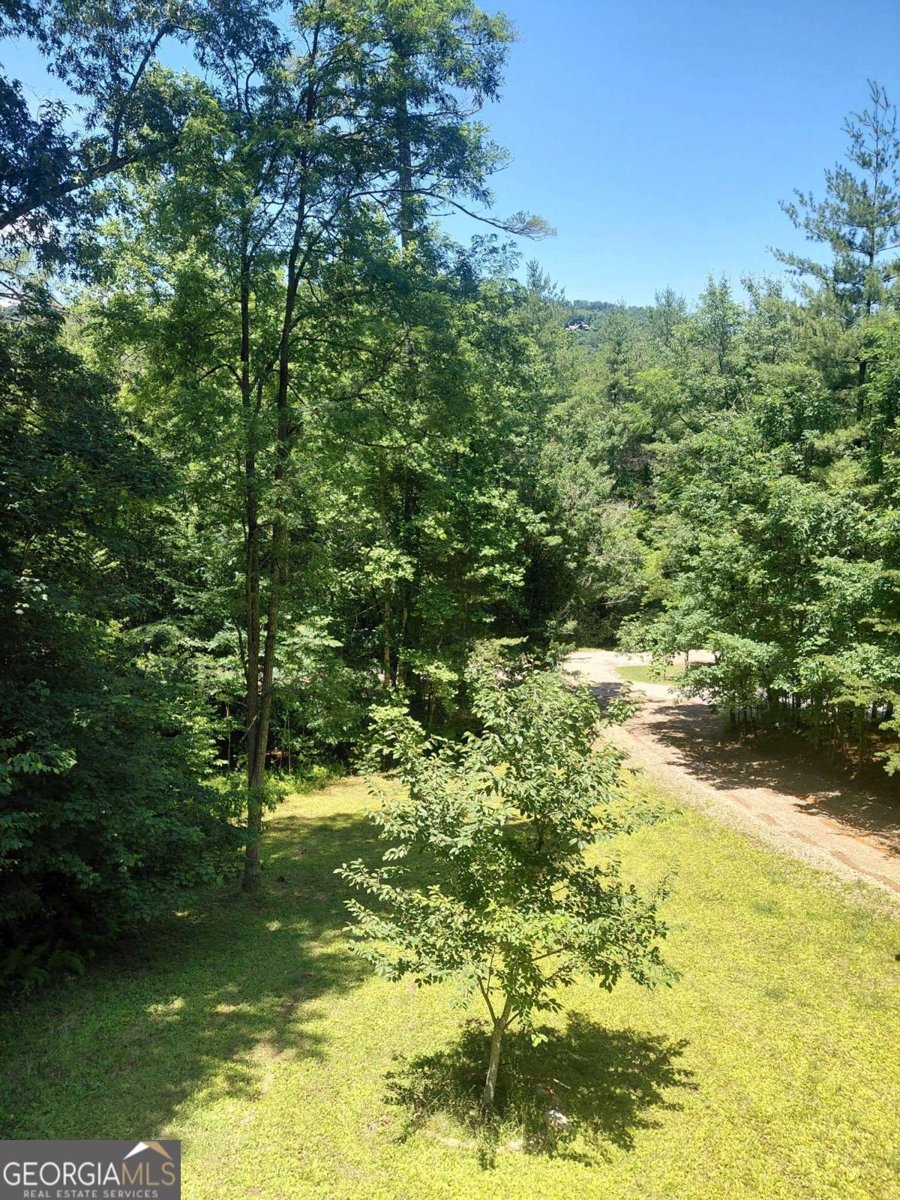 158 Earney Road Blairsville - Photo 6