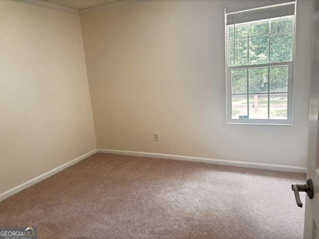 2805 Fort Apachee Trail Dacula - Photo 10