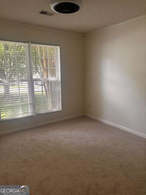 2805 Fort Apachee Trail Dacula - Photo 8