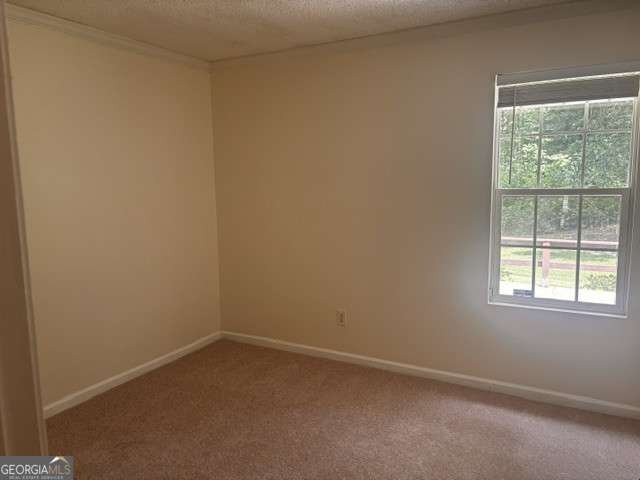 2805 Fort Apachee Trail Dacula - Photo 9