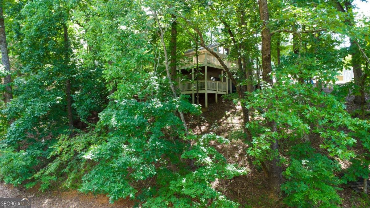 130 Longview Drive Dawsonville - Photo 23