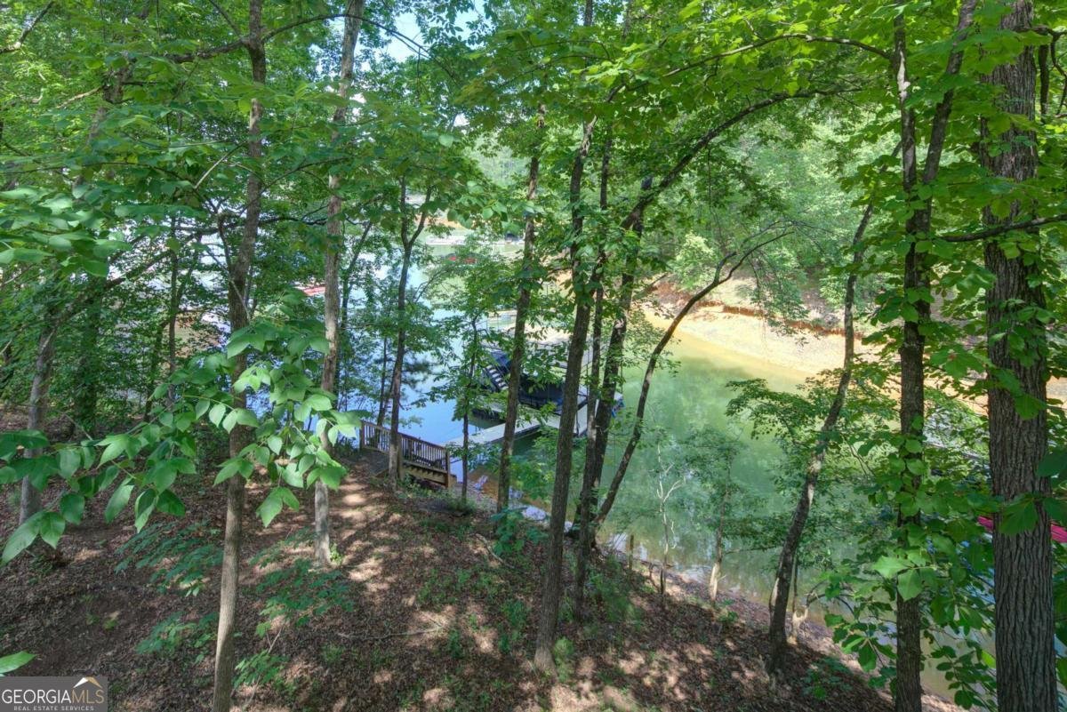 130 Longview Drive Dawsonville - Photo 24