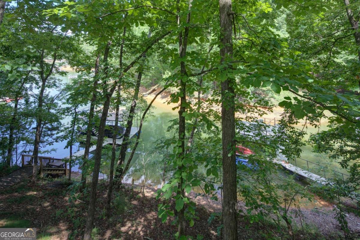 130 Longview Drive Dawsonville - Photo 25