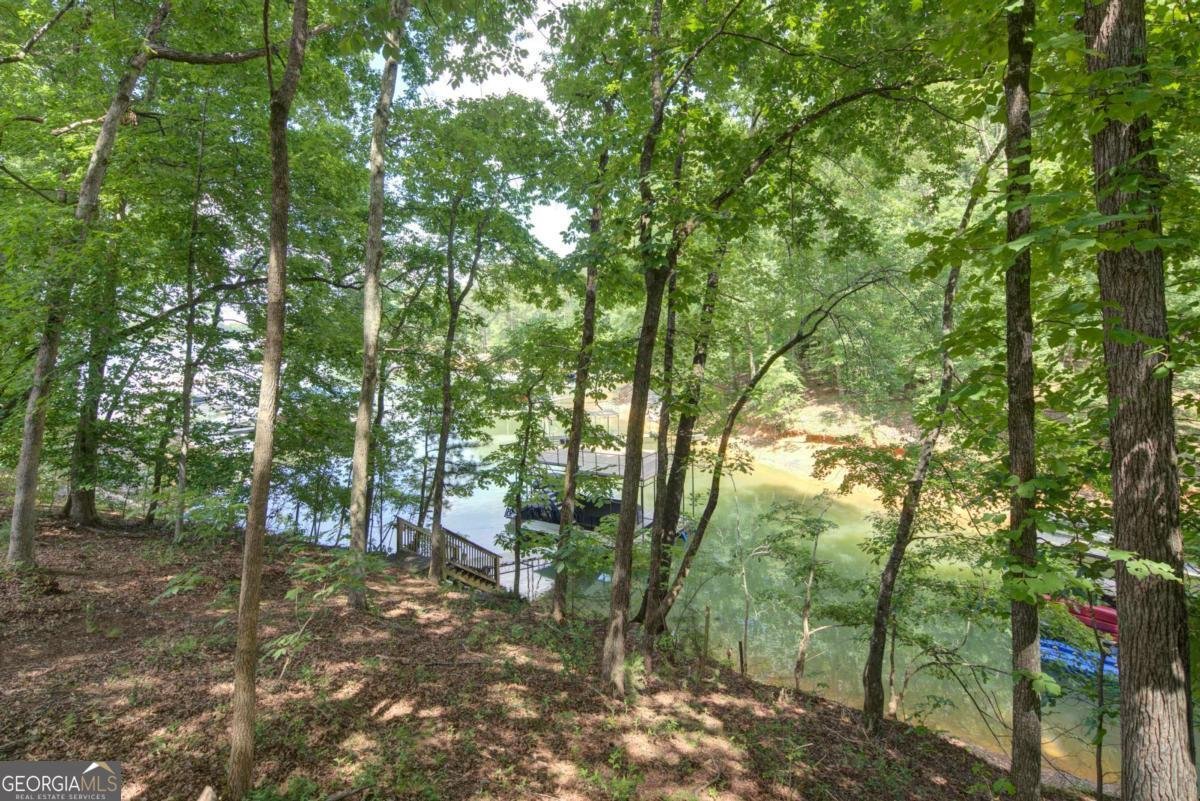 130 Longview Drive Dawsonville - Photo 30