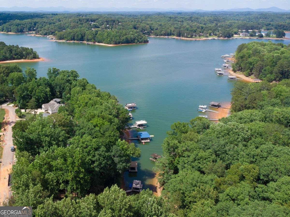 130 Longview Drive Dawsonville - Photo 33