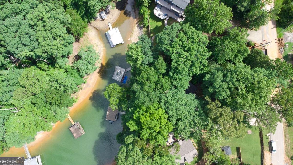 130 Longview Drive Dawsonville - Photo 34