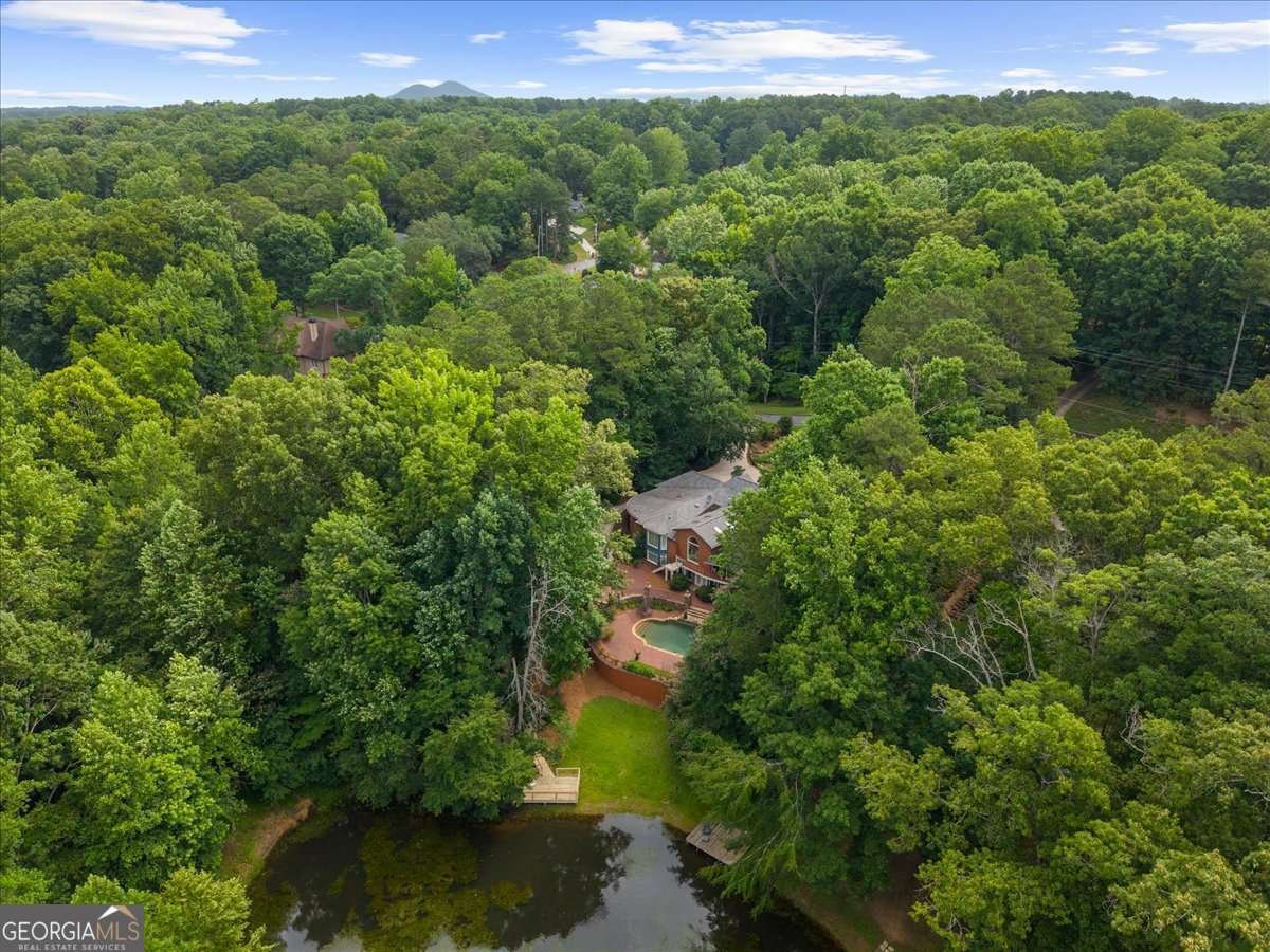 2341 Habersham Drive Marietta - Photo 92