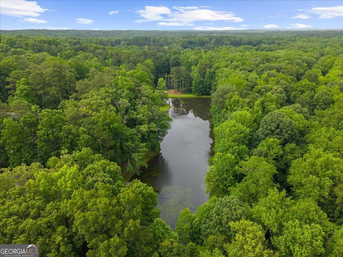 2341 Habersham Drive Marietta - Photo 93