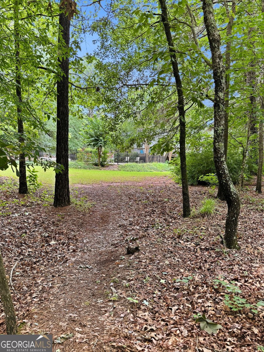 338 Bell Isle McDonough - Photo 54