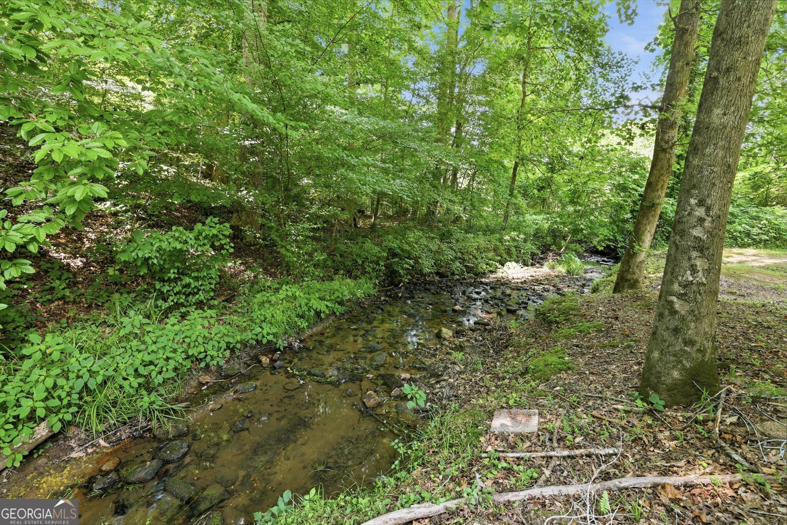 579 Wesley Circle Toccoa - Photo 64