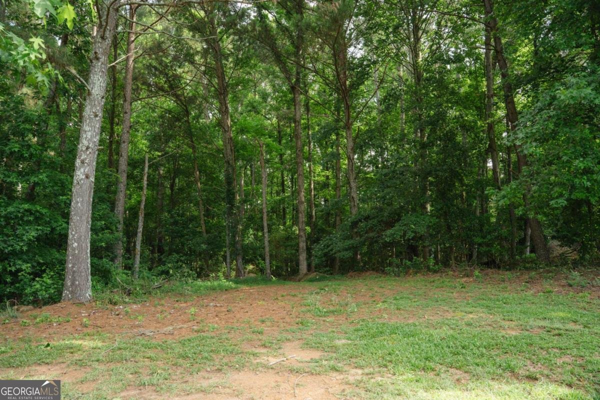 2844 Michelle Lee Drive Dacula - Photo 35