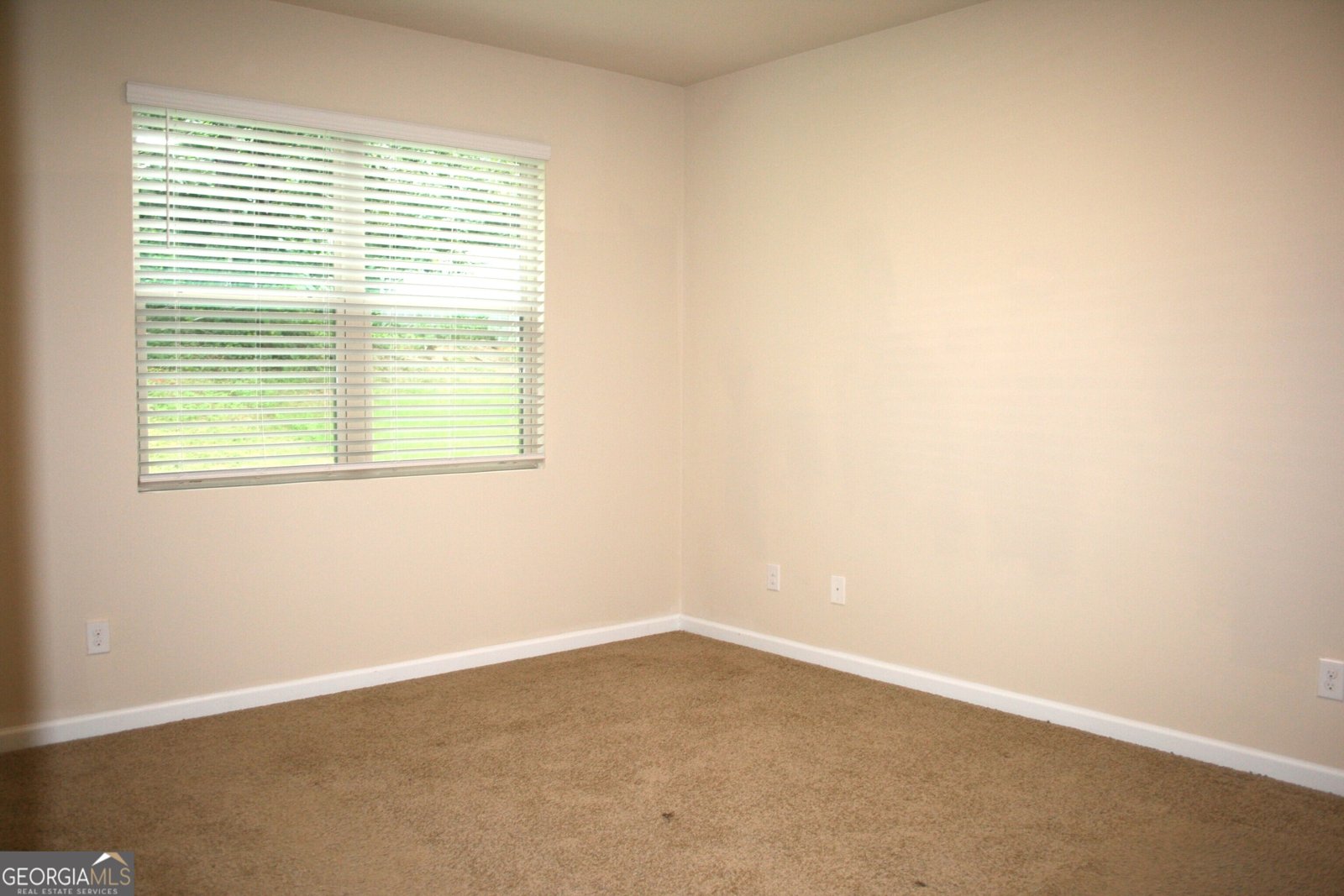 610 Dodson Lake Court Fairburn - Photo 19
