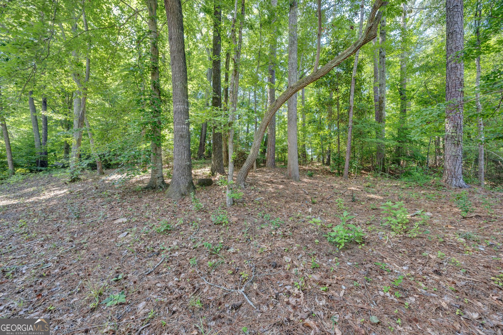 6156 Cherry Valley Drive Covington - Photo 33