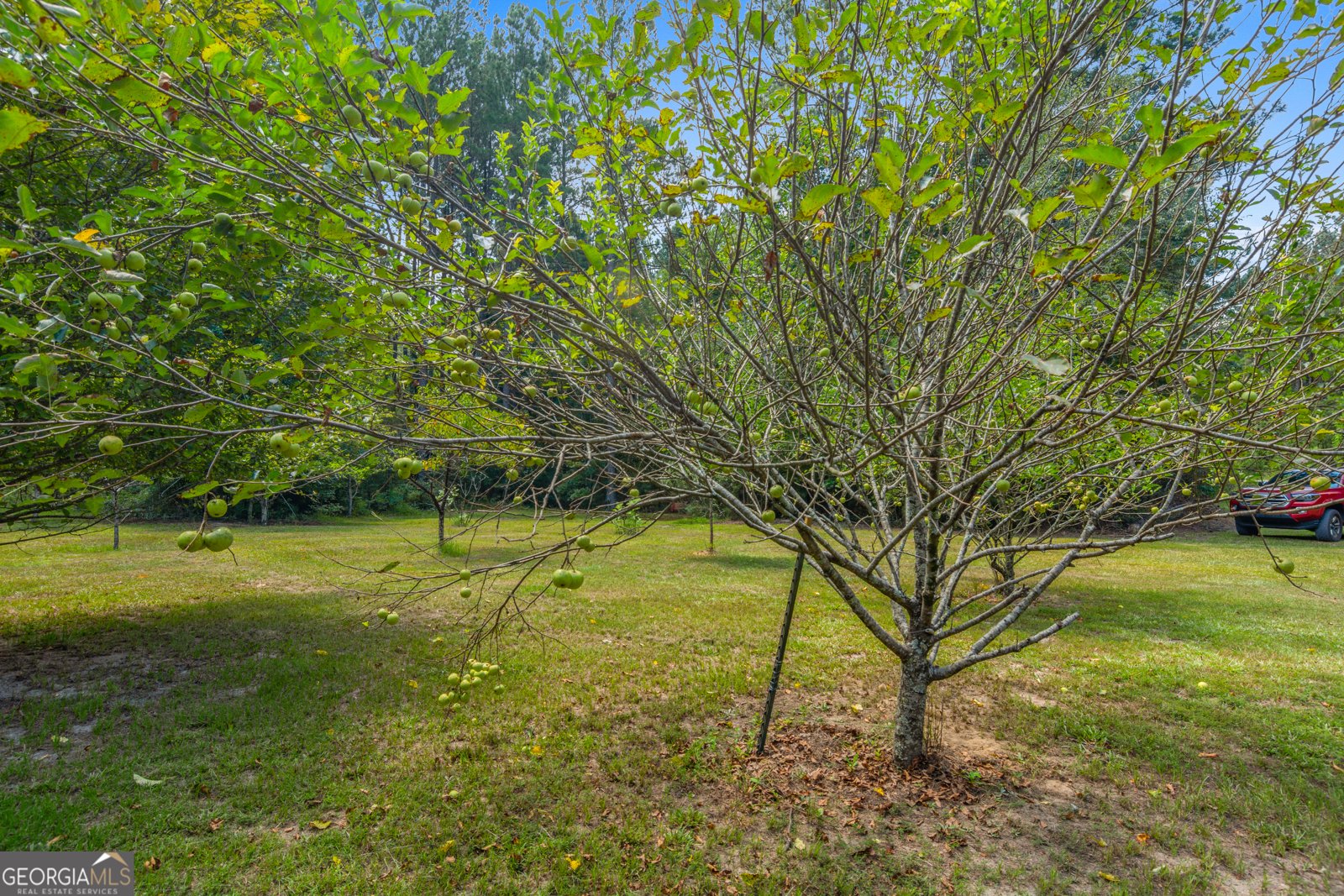 1269 Tarver Road Davisboro - Photo 64