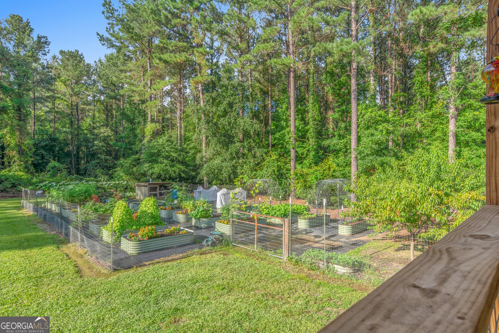 1269 Tarver Road Davisboro - Photo 66