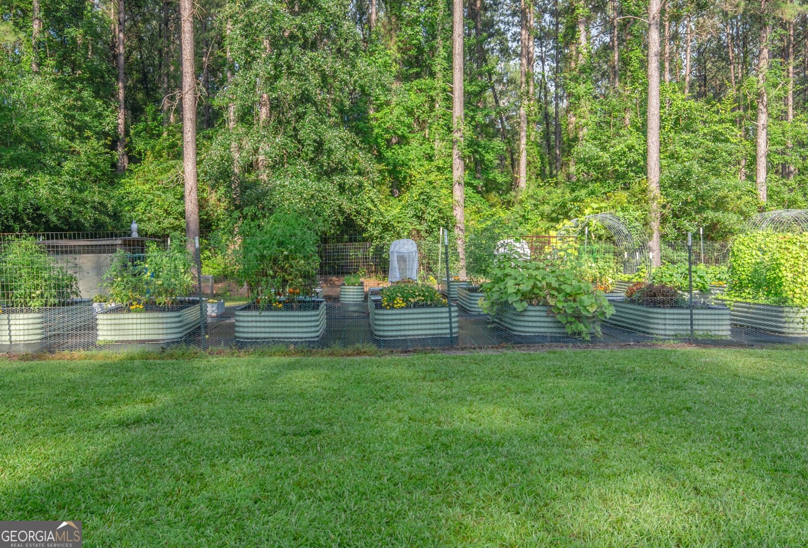 1269 Tarver Road Davisboro - Photo 67