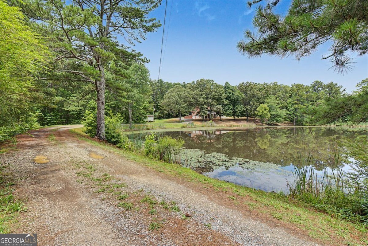 4487 Joe Frank Harris Parkway Adairsville - Photo 59