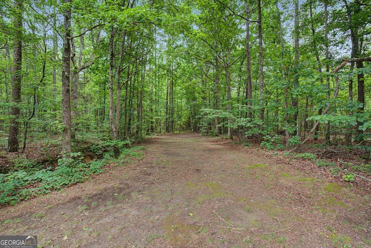 4487 Joe Frank Harris Parkway Adairsville - Photo 61