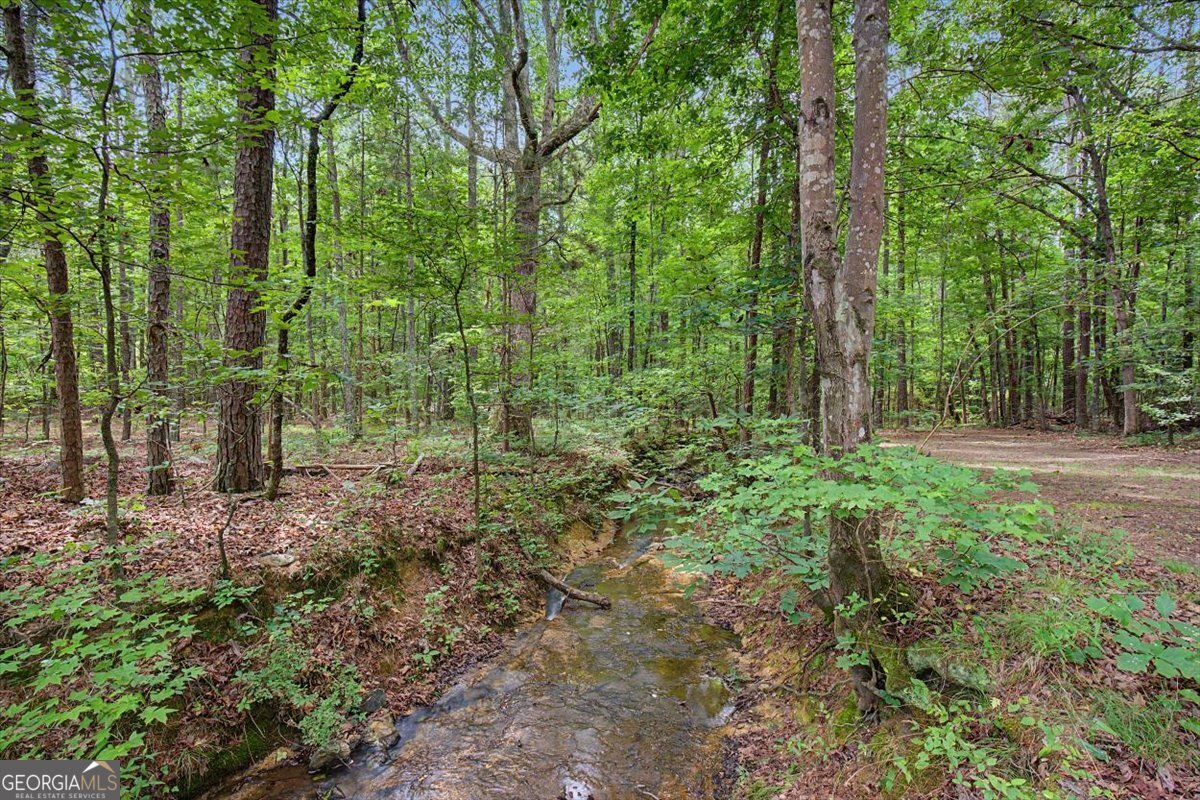 4487 Joe Frank Harris Parkway Adairsville - Photo 62