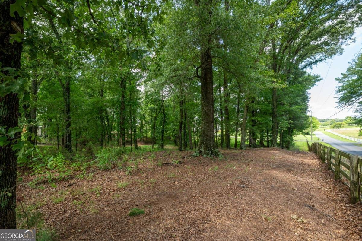 150 School House Road Calhoun - Photo 68