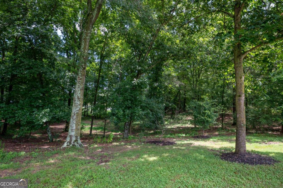 150 School House Road Calhoun - Photo 69