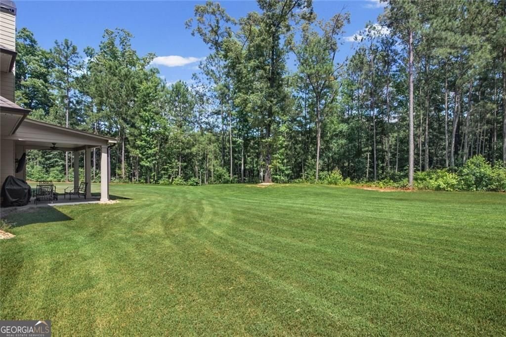 266 Jester Court McDonough - Photo 37