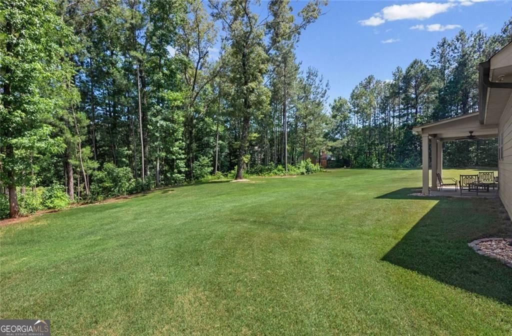 266 Jester Court McDonough - Photo 38