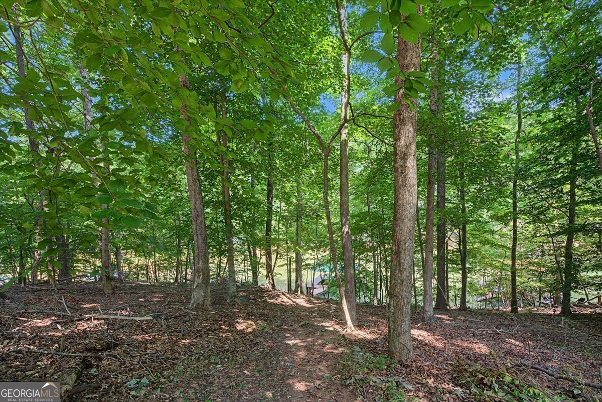 6695 Thunder Trail Gainesville - Photo 49