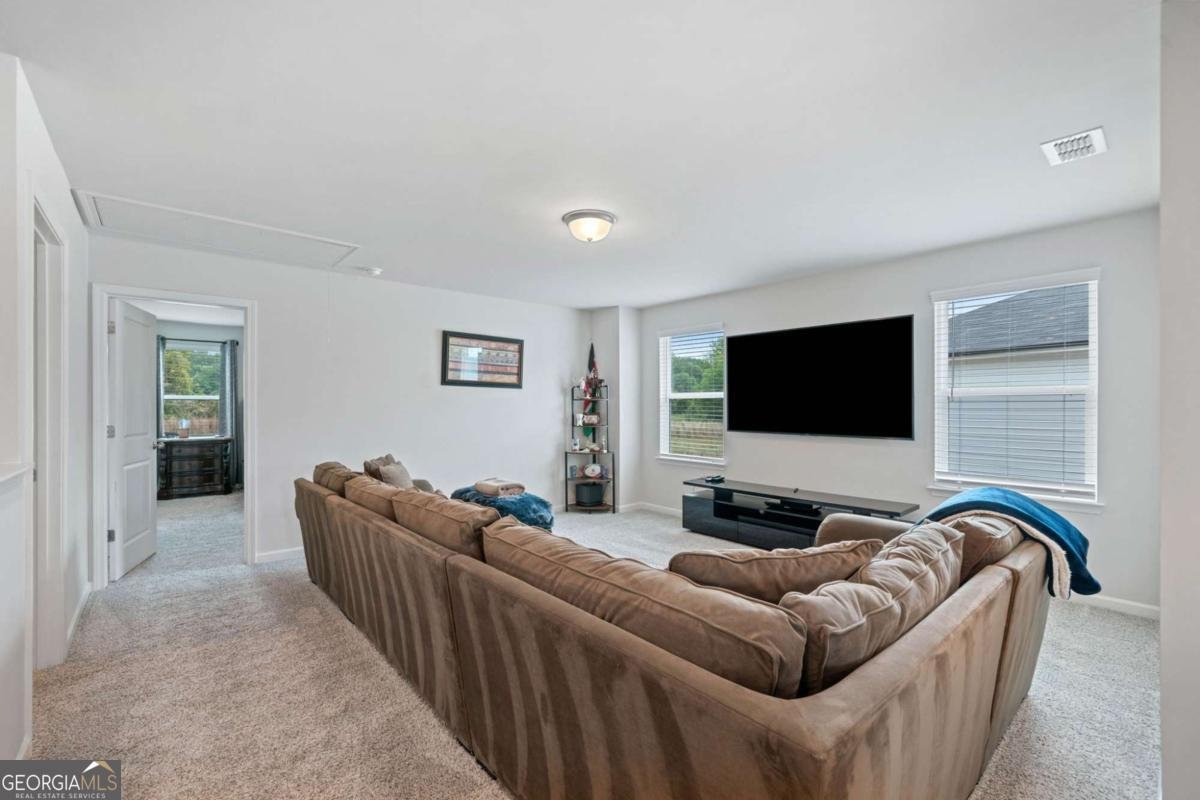 5911 Green Ash Court Braselton - Photo 19