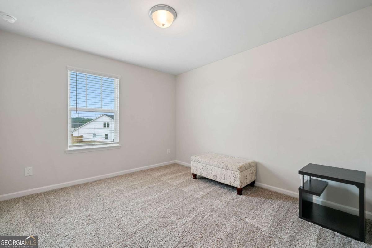 5911 Green Ash Court Braselton - Photo 23
