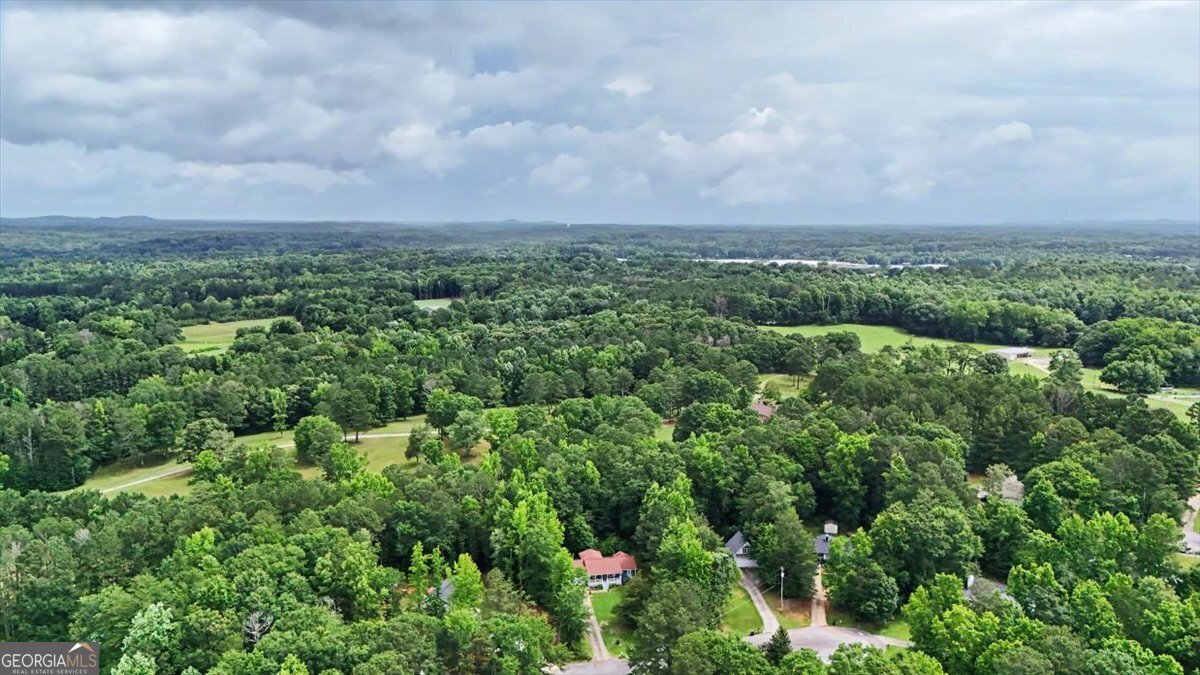 140 Pinnacle Way Carrollton - Photo 47