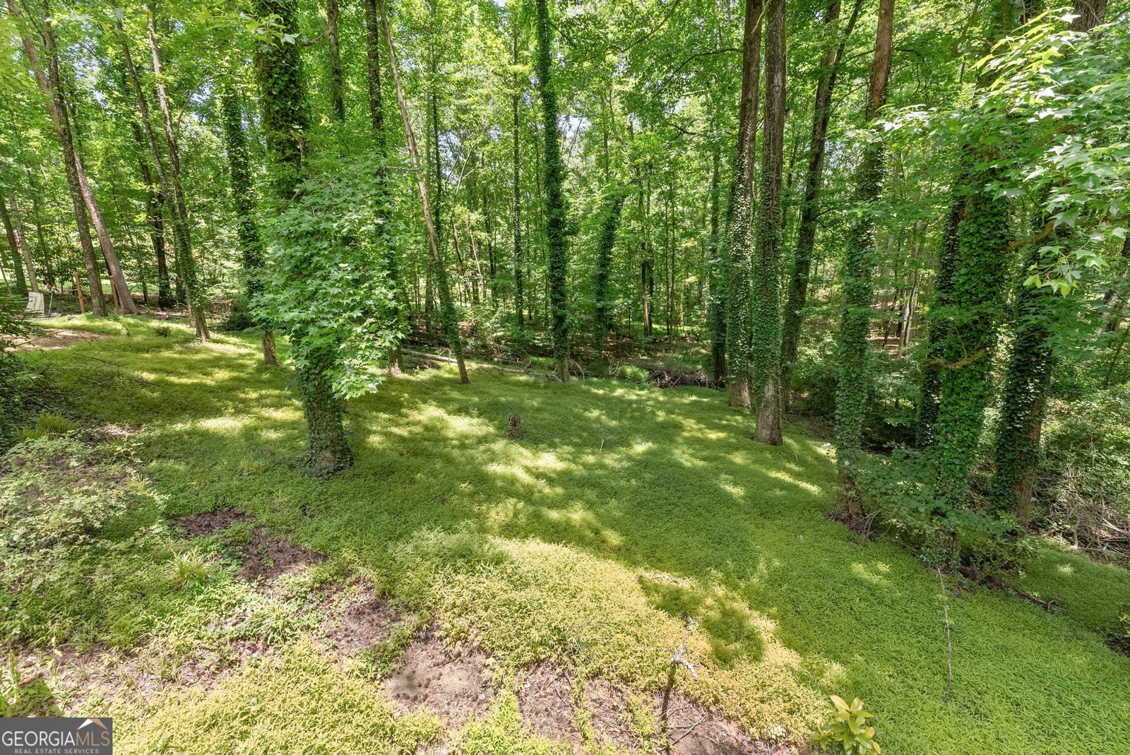 20 Pine Lake Drive Cumming - Photo 41