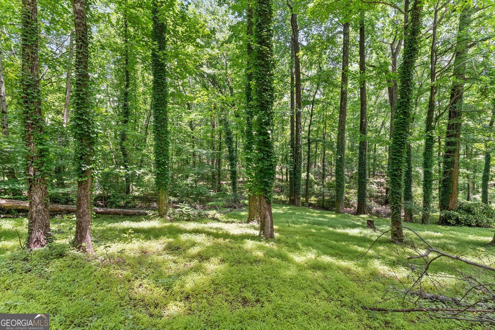 20 Pine Lake Drive Cumming - Photo 42