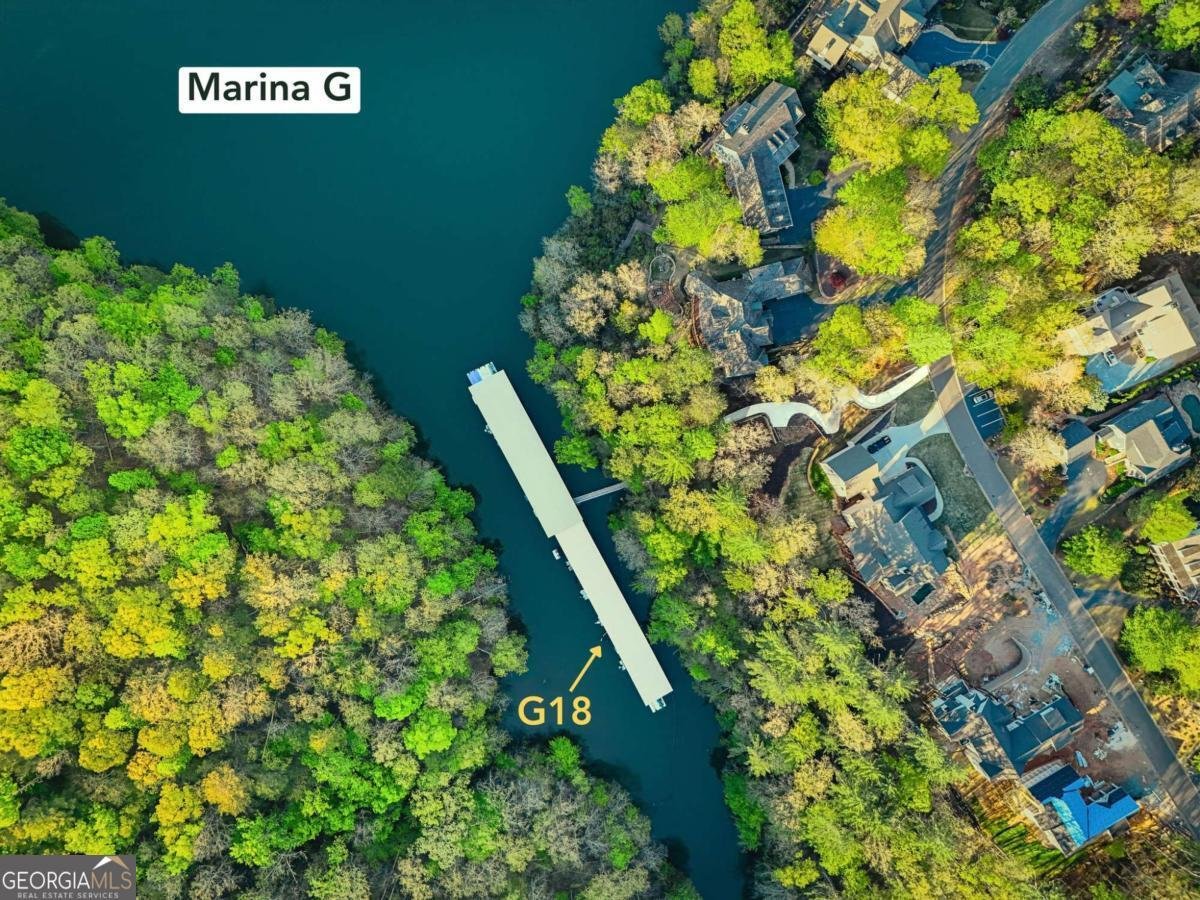 10 Peninsula Way Dawsonville - Photo 59