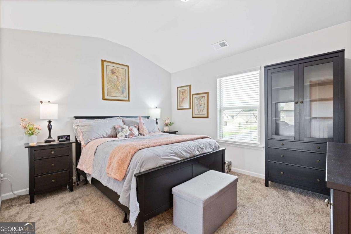 2974 Amabile Road Dacula - Photo 30