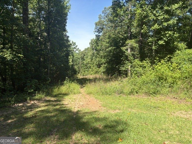 110 Patty Cake Lane Clarkesville - Photo 17