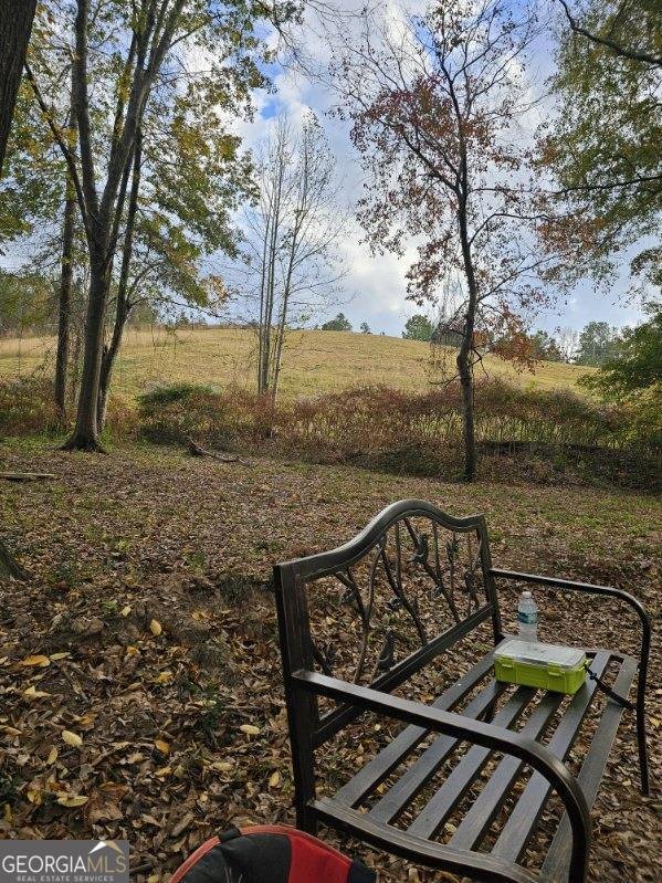 240 Victory Dashboard Road Bowdon - Photo 17