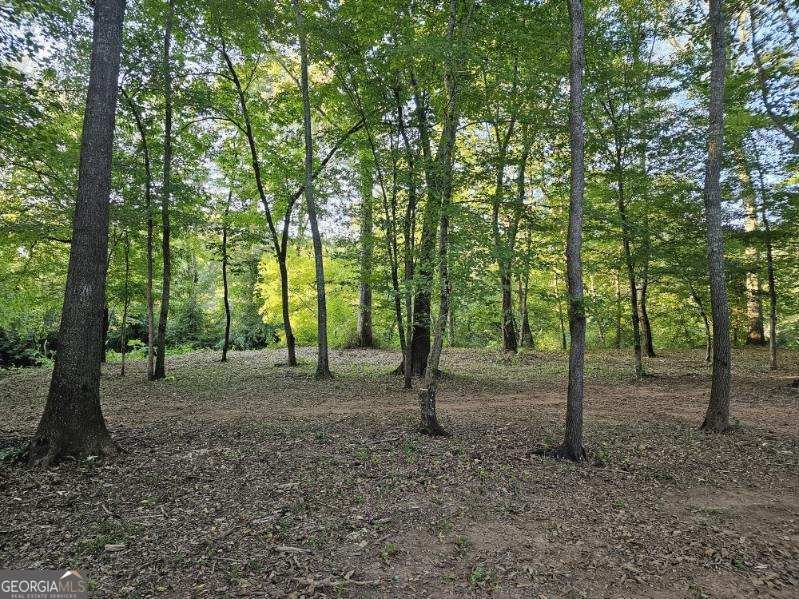 240 Victory Dashboard Road Bowdon - Photo 9