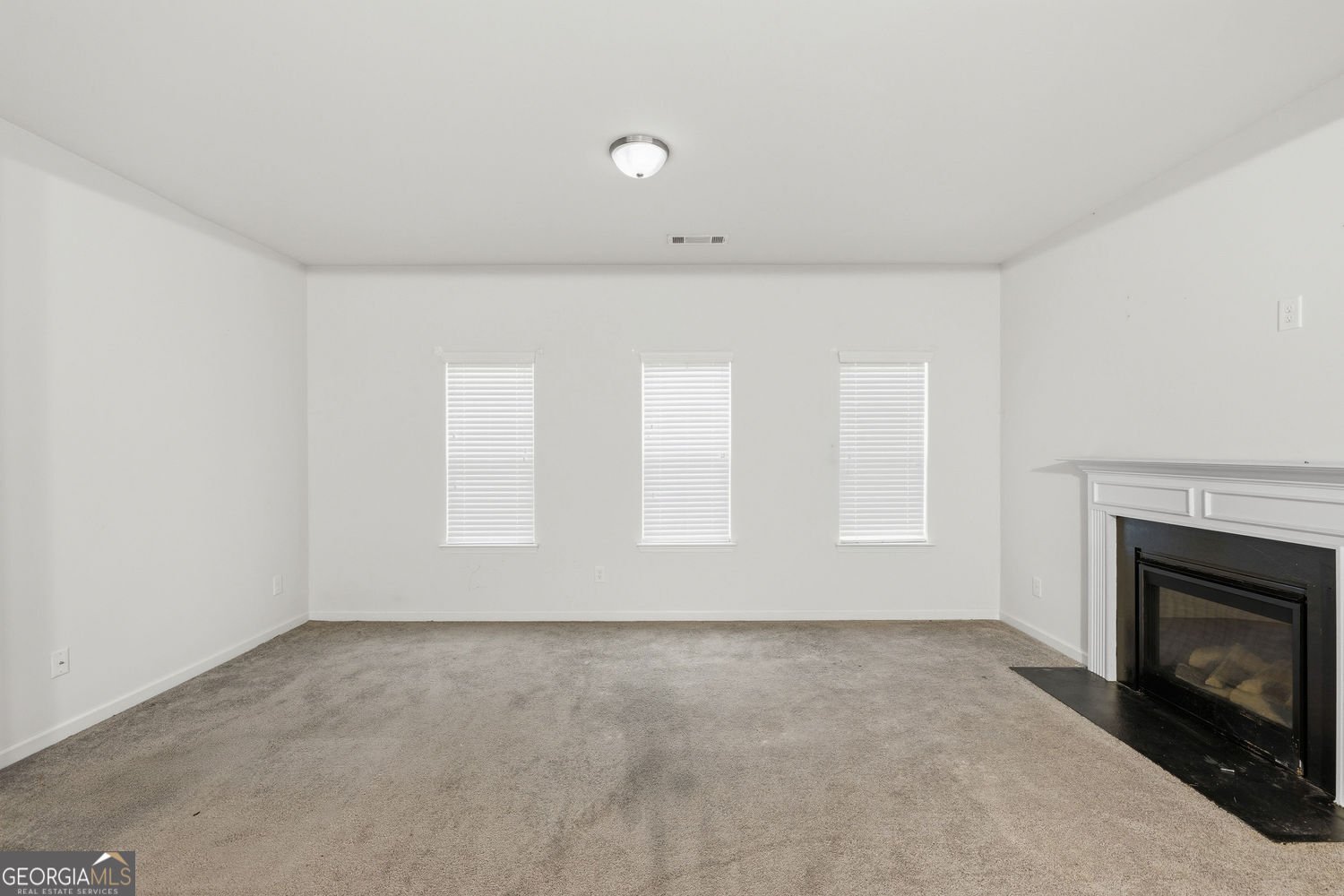 136 Charolais Drive McDonough - Photo 17