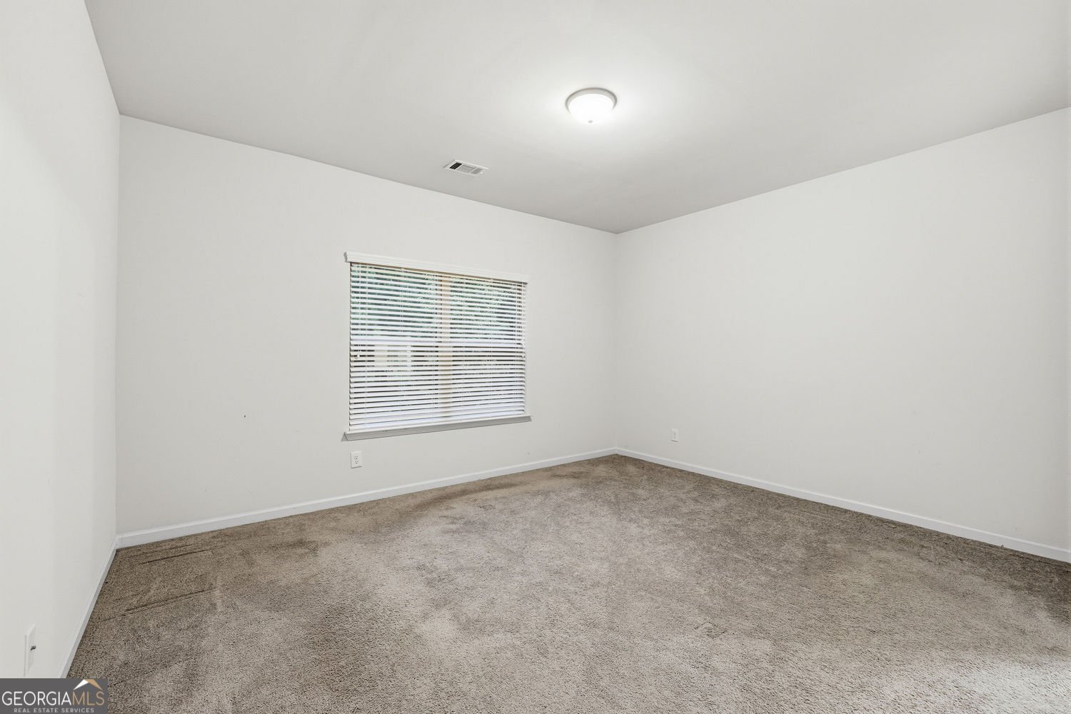 136 Charolais Drive McDonough - Photo 21