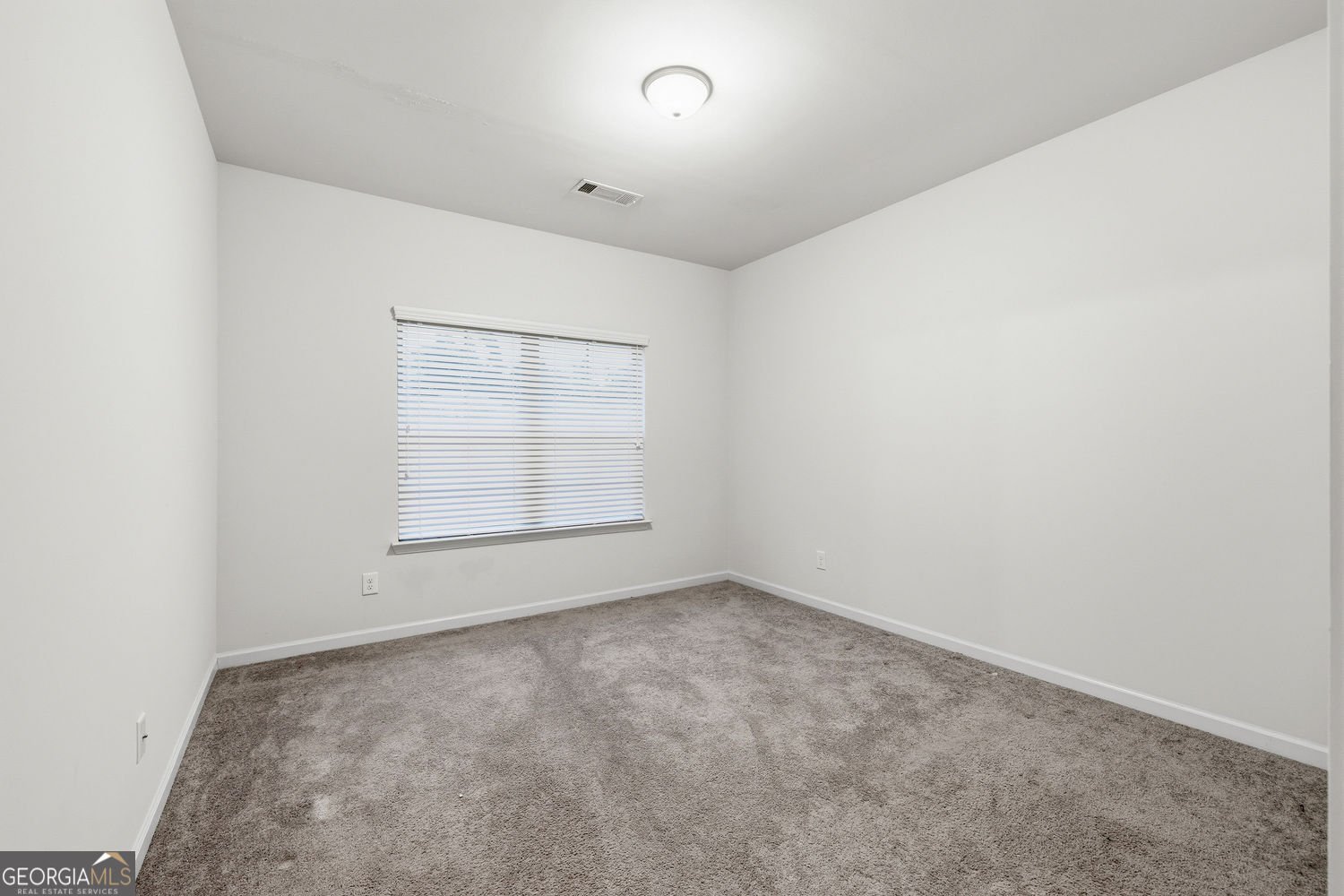 136 Charolais Drive McDonough - Photo 24