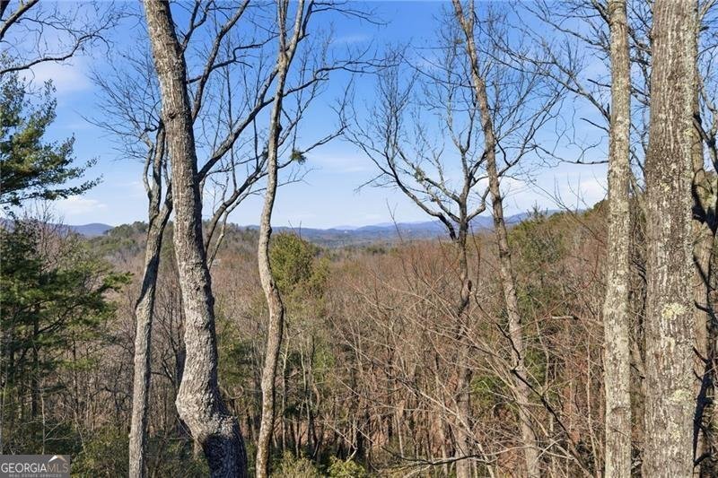 1343 McElroy Mountain Drive Jasper - Photo 42