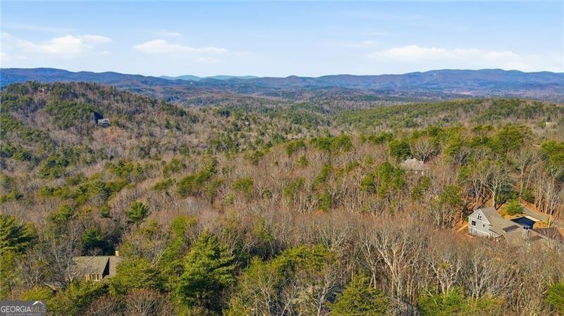 1343 McElroy Mountain Drive Jasper - Photo 87